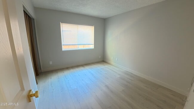 Building Photo - 7317 S Palm Dr