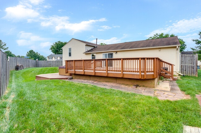 Backyard - 5471 Braddock Ridge Dr
