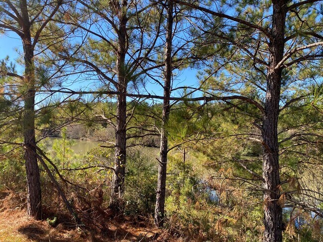 Building Photo - Home for Rent in Brookwood, AL! COMING SOO...