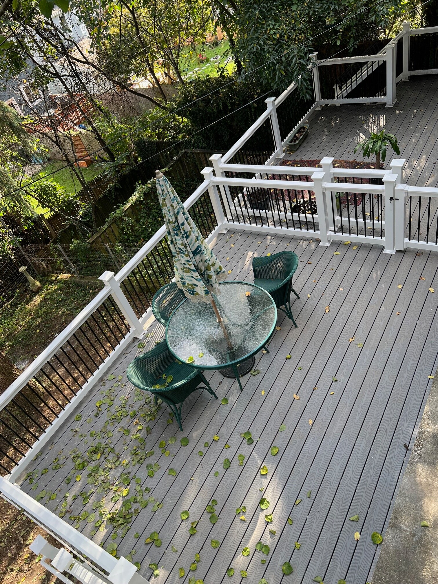 Rear Deck - 1419 Morling Ave