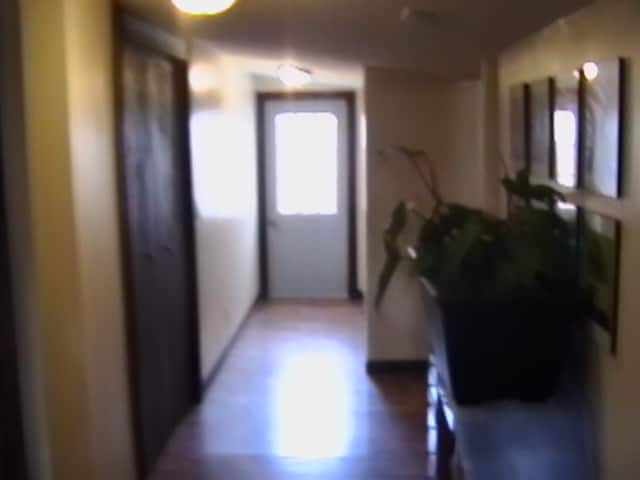 Building Photo - 1653 S Olive St