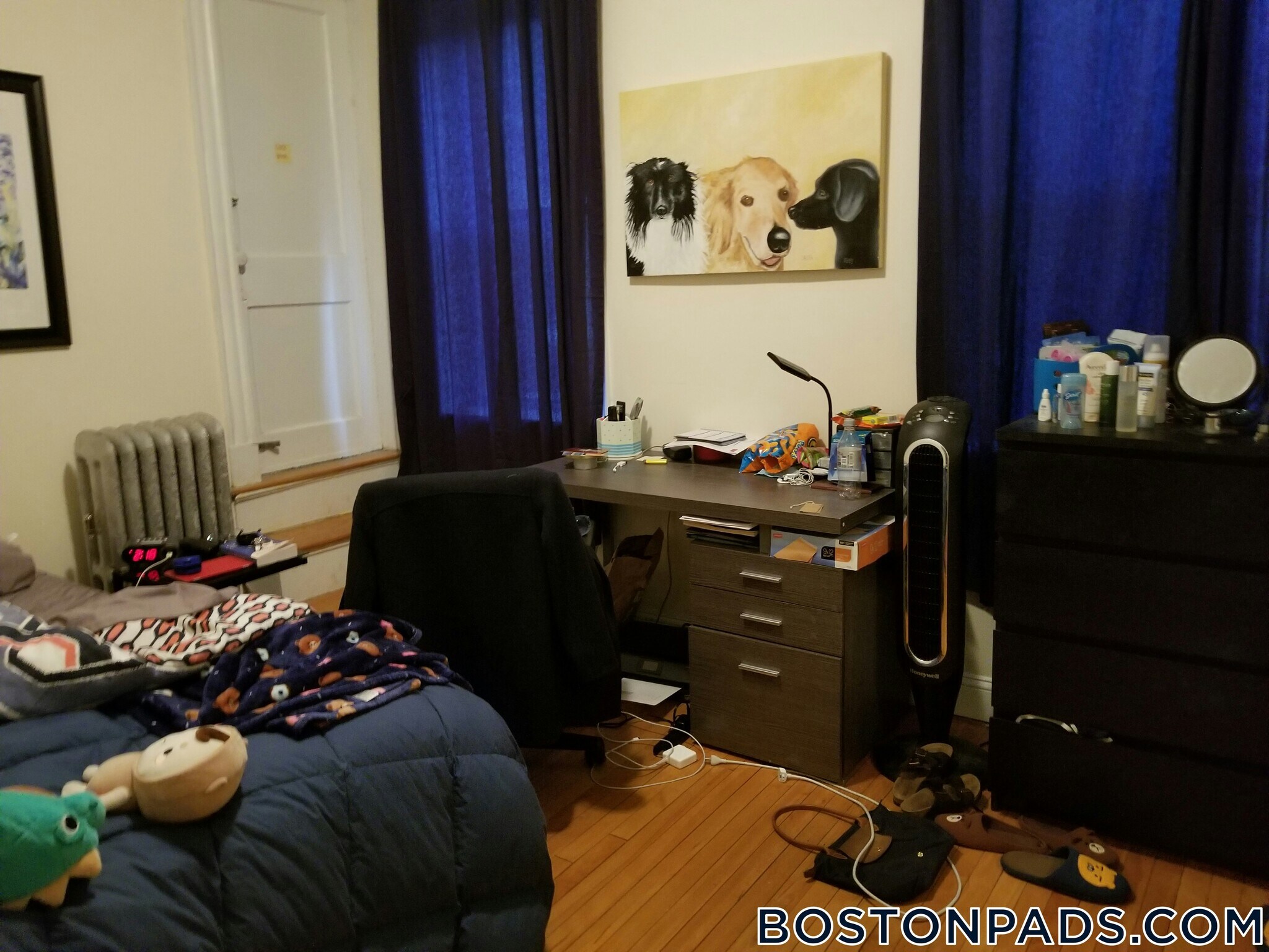 Building Photo - 56 Egmont St