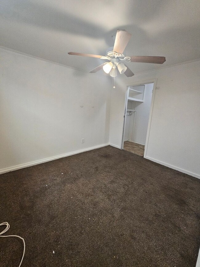 Building Photo - 658 Washington Ave