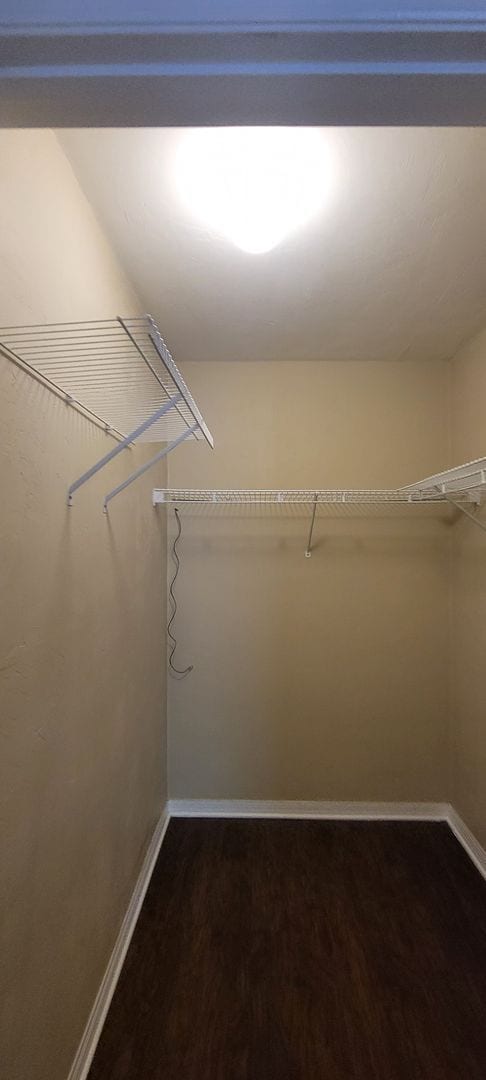 Building Photo - 3 bedroom/2 bath in Palm Grove
