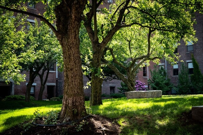 Building Photo - 781 Tremont St