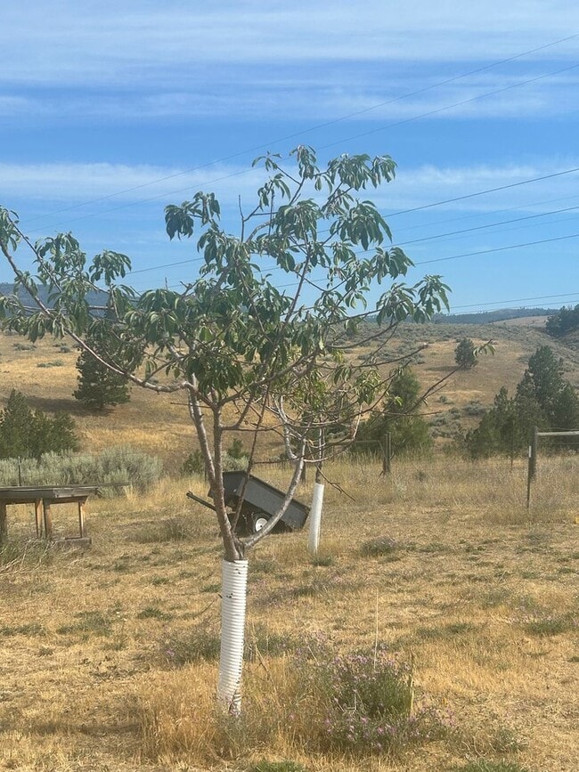 Building Photo - 3 Bed, 2 Bath Home on 5 Acres – Florence, ...