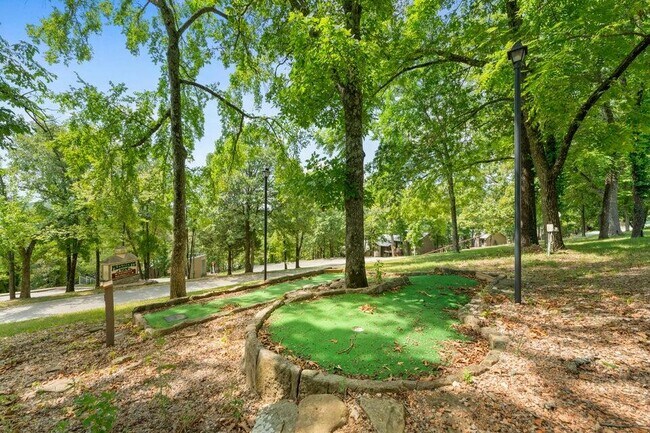 Building Photo - 393 Ozark Mountain Resort Dr