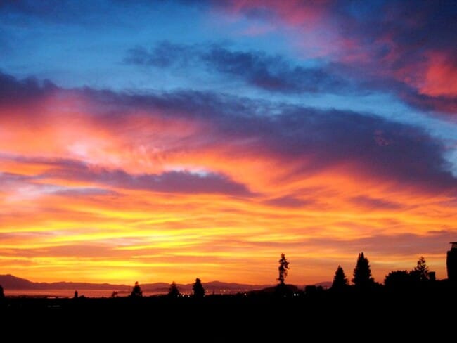 Building Photo - Traditional Six Bedroom Home with Exceptional SF Bay Views with In Law Unit