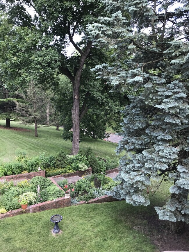 Beautiful landscaping - 512 Breezy Point Dr