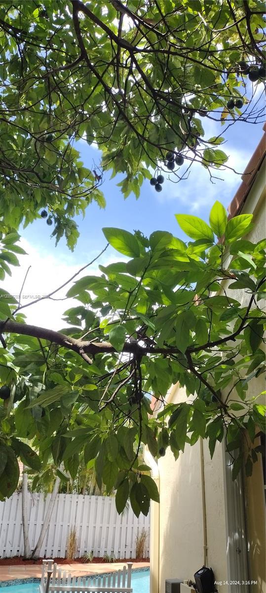 Building Photo - 659 Verona Pl