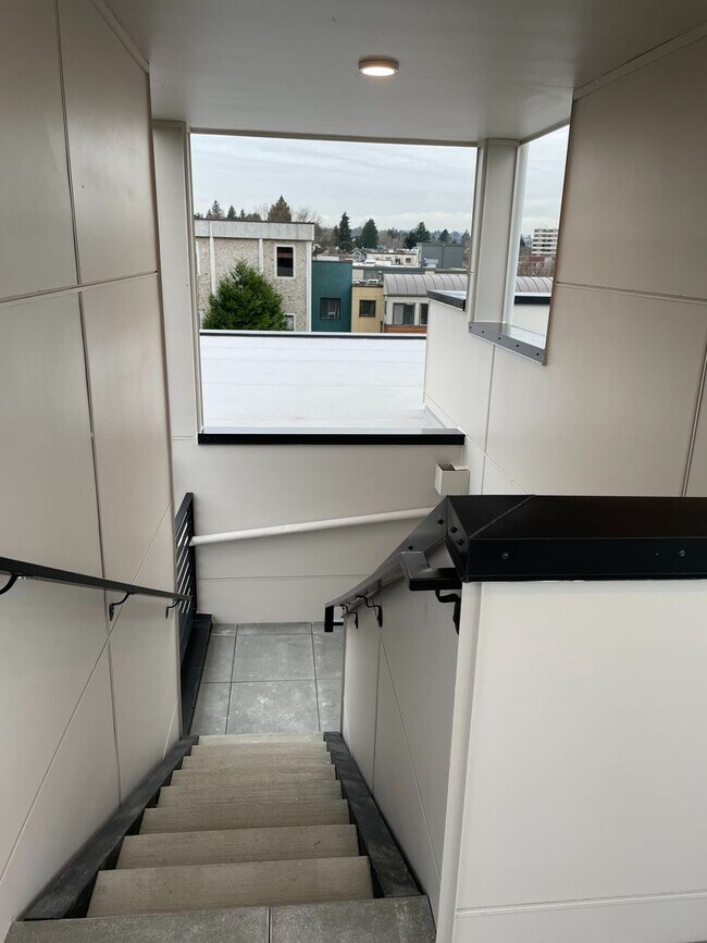 Interior Photo - Canopy