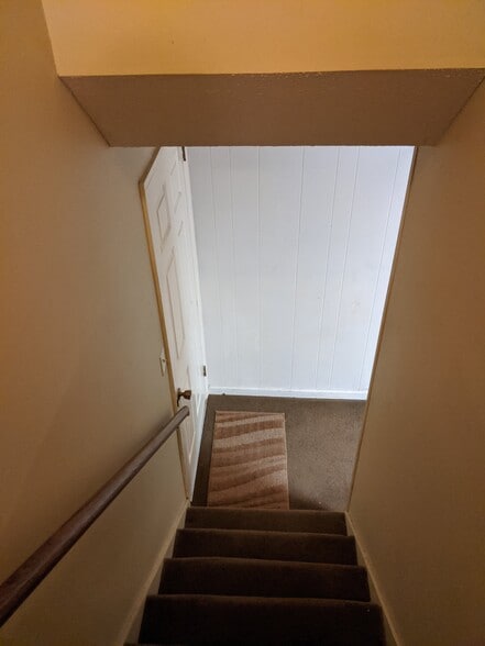 Walk-out finished basement has carpeted steps and a door to the concrete storage area - 303 Ferncliff Dr