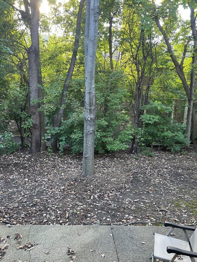 Building Photo - 1220 S Christine Ct