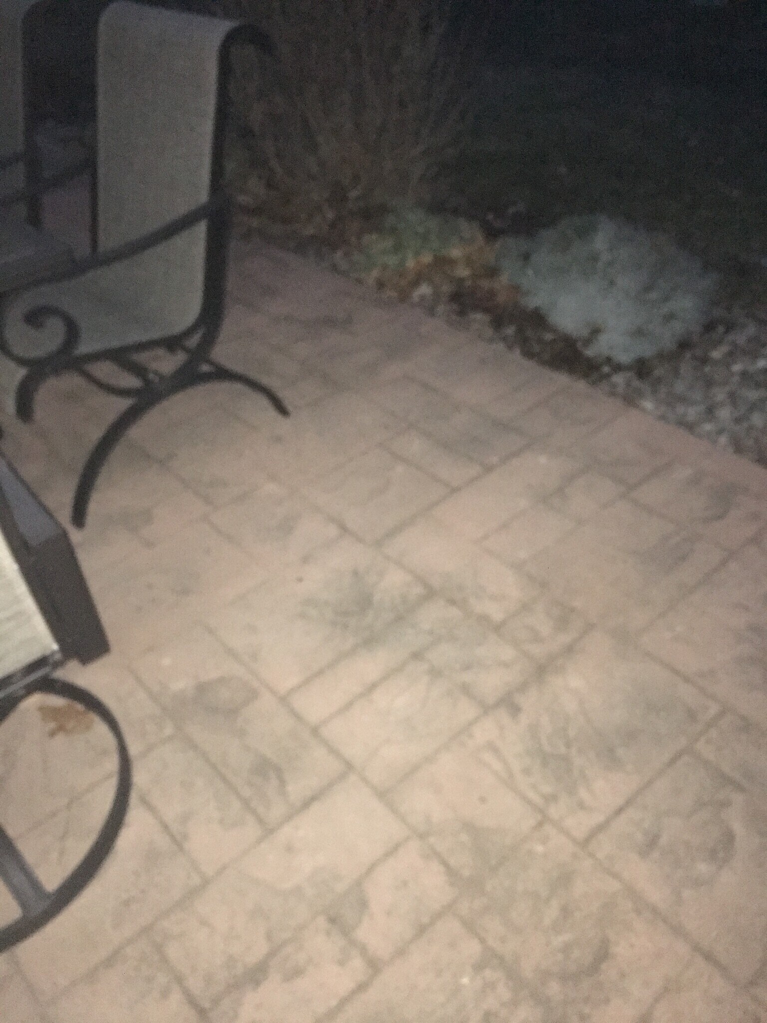 Stamped concrete patio - 924 Byford Boulevard