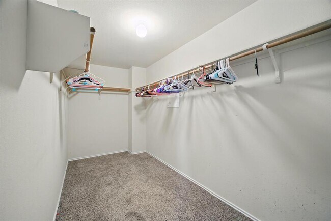 Building Photo - 12824 Basketflower Cove