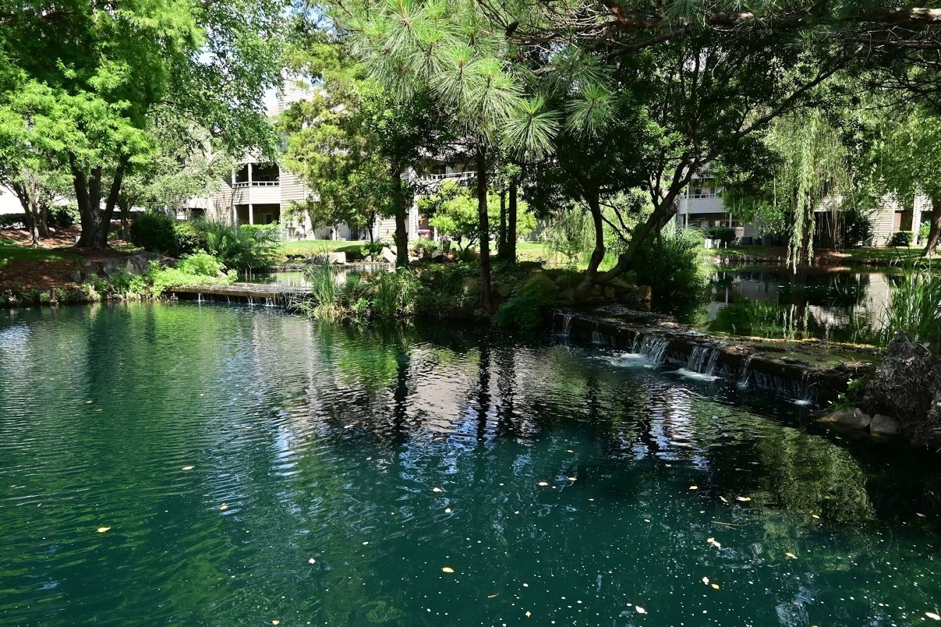 Building Photo - 2553 Stockbridge Dr