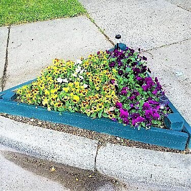 Flowers Throughout - 1209 Pine St