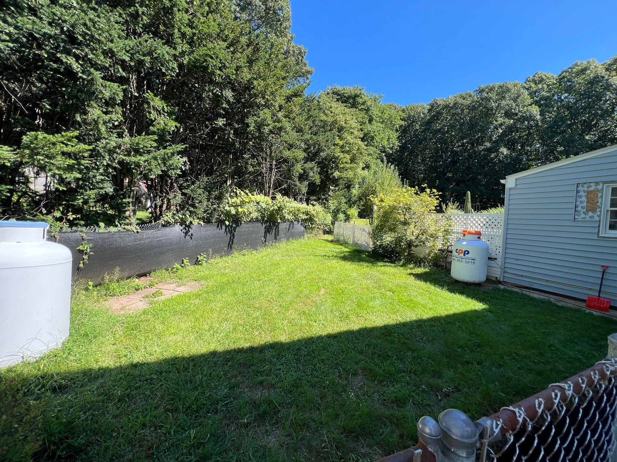 Backyard - 78 Walnut Rd