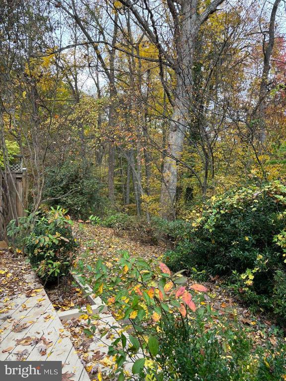 Building Photo - 6803 Wild Rose Ct