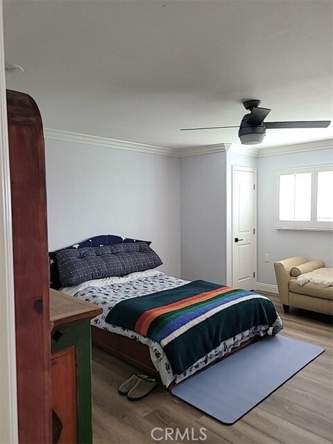 Building Photo - 4809 Calle Sonora Oeste