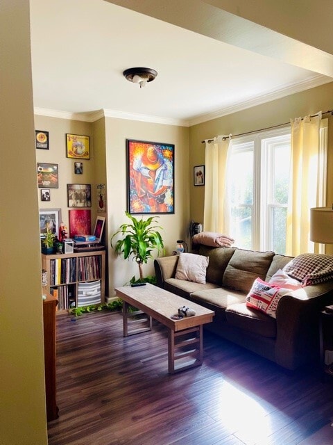 living room - 532 W 1st St