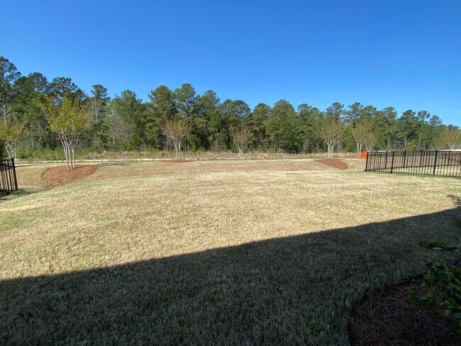 Building Photo - Brand new construction home in the desirable Brunswick Forest subdivision