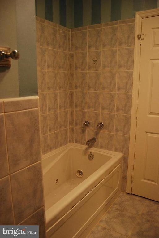 Building Photo - 1523 Green St