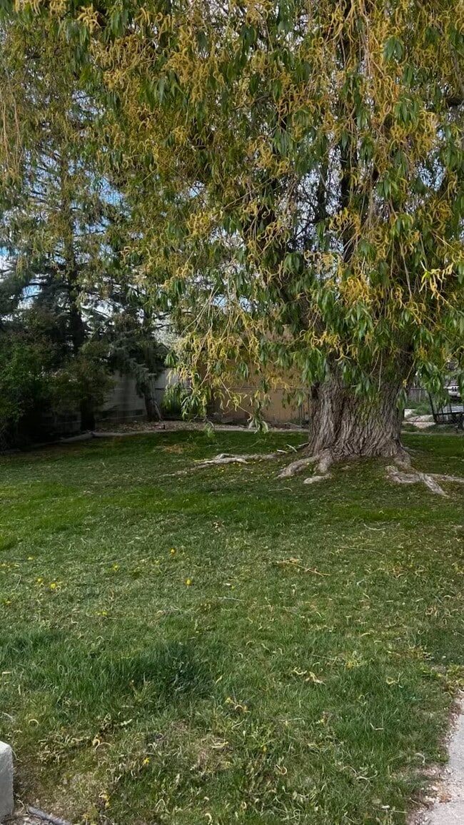 Building Photo - 531 W 660 S