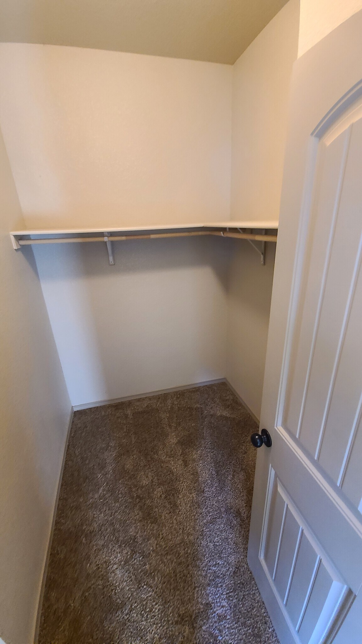 Walking closet - 14414 Armando Silva Dr