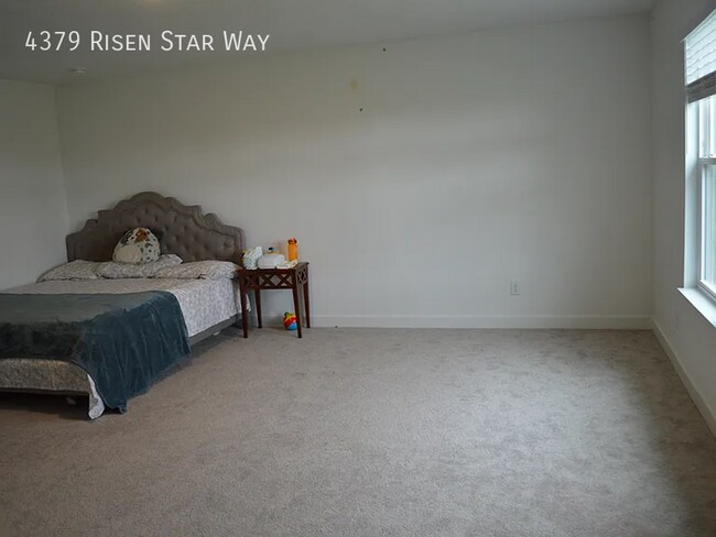 Building Photo - 4379 Risen Star Way