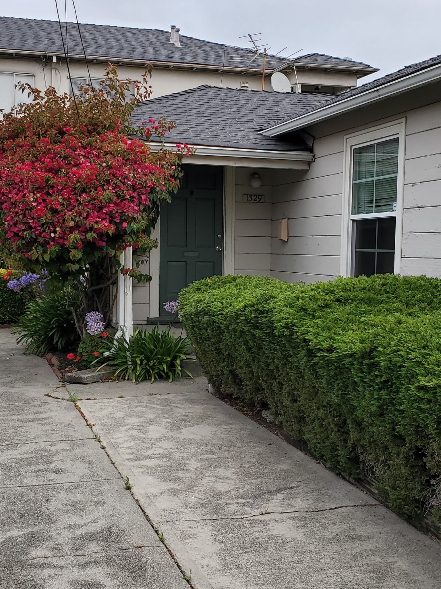 Front Entry - 1329 Parker St