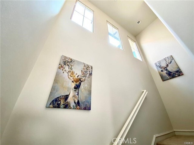 Building Photo - 62 Emerald Clover