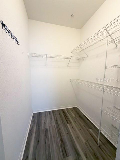 Building Photo - 8927 Legacy Ct