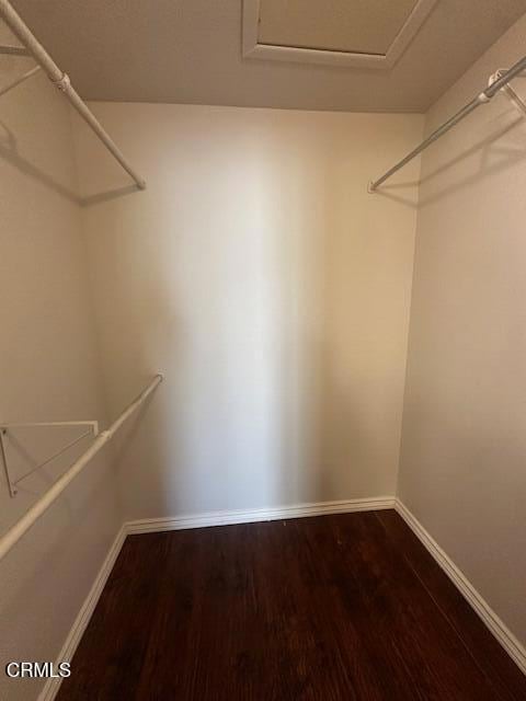 Building Photo - 1235 Bobwhite Ct