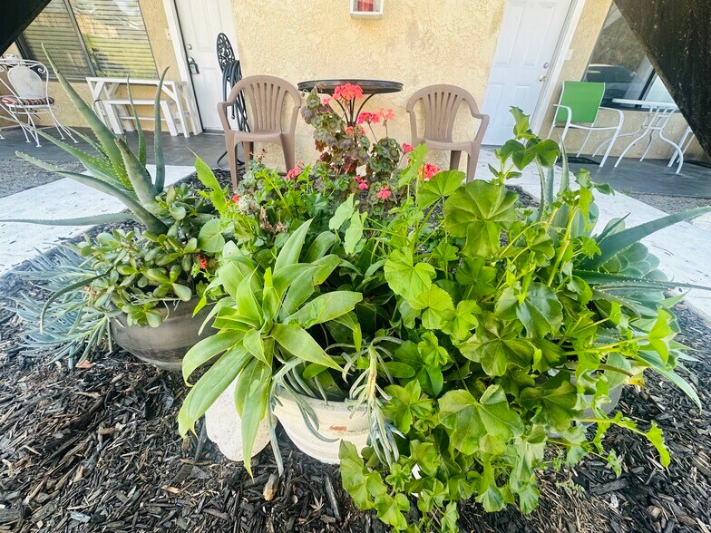 Building Photo - 6005 Hill Dale Ct