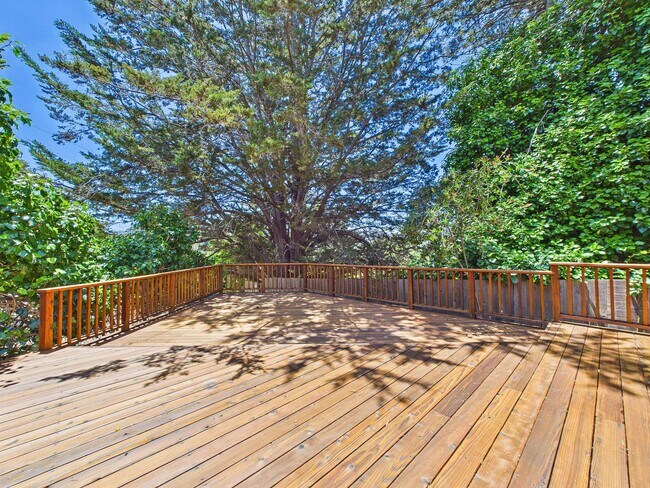 Building Photo - Beautiful serene and private Belmont home