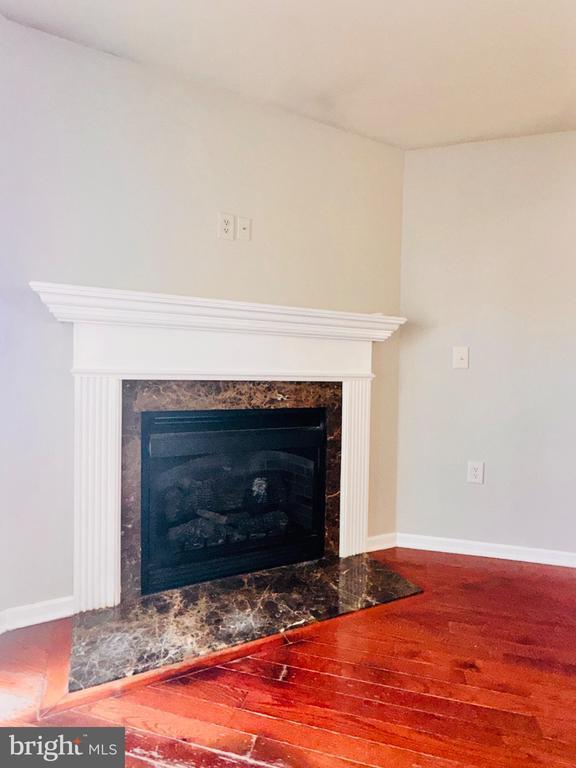 Building Photo - 42 Fuzzy Tail Dr