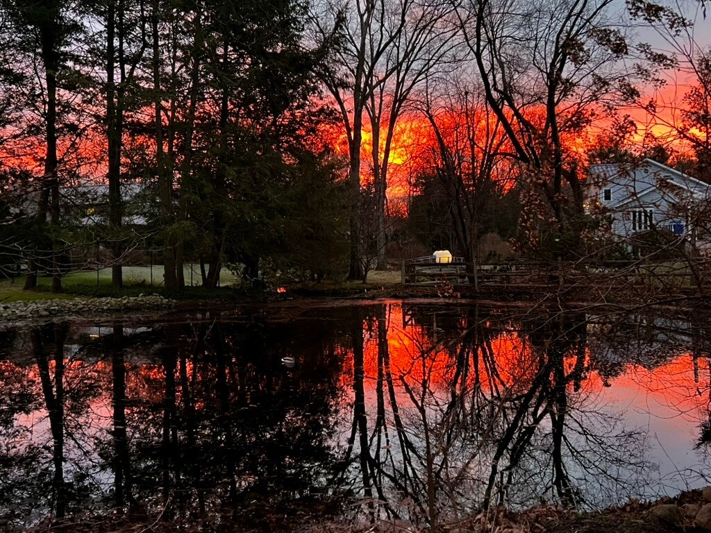 Building Photo - 16 Crooked Mile Rd