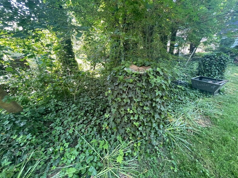 Backyard - 210 Mannion Ave