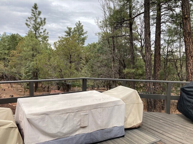 Building Photo - 3239 Pine Needle Dr