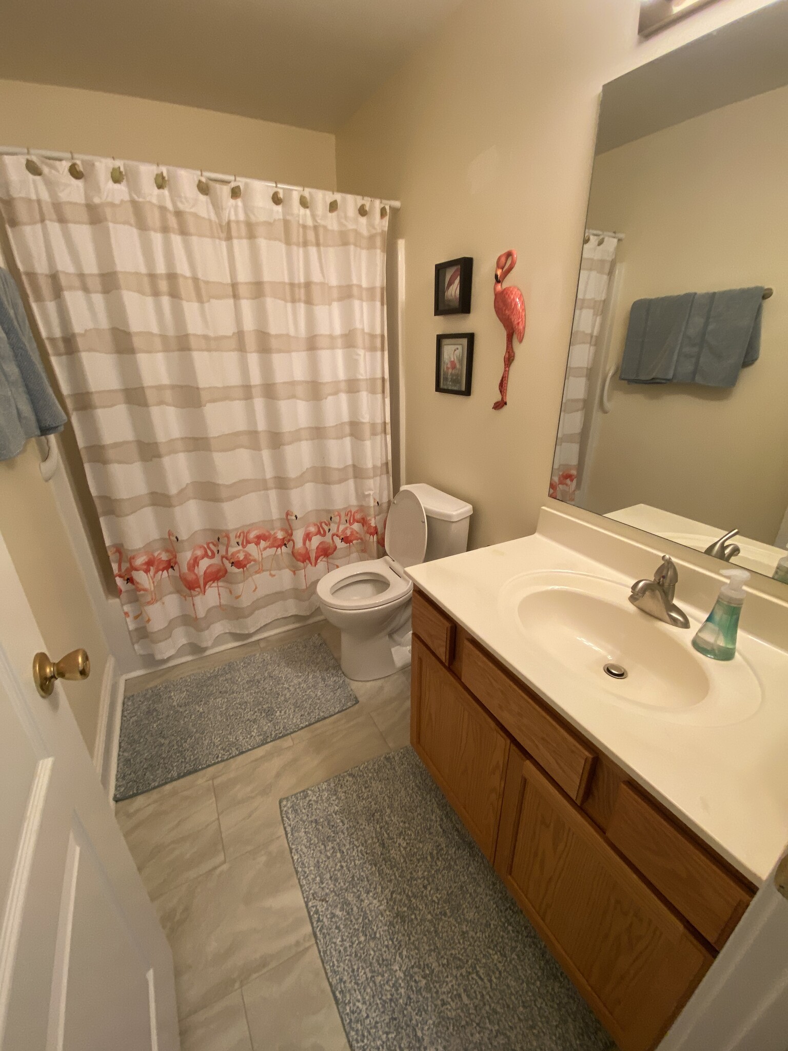 Master bathroom with shower and tub. - 600 Mitchell Bridge Rd