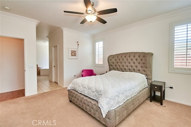Building Photo - 8245 Campbell Ct