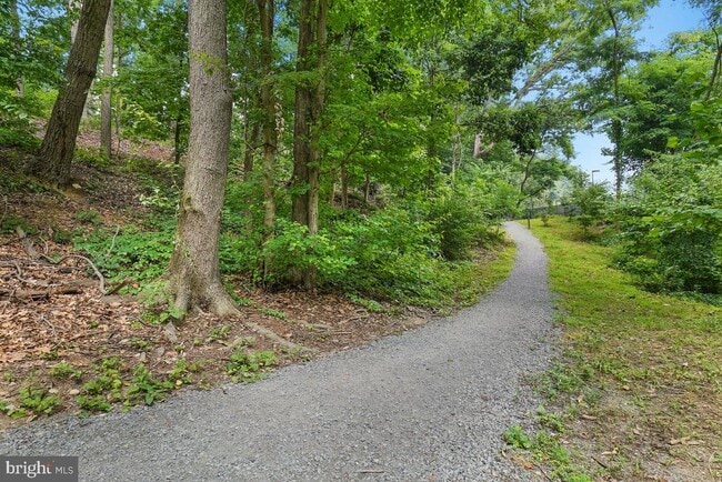 Building Photo - 5904 Mt Eagle Dr