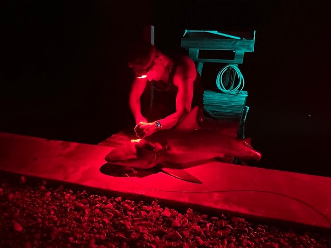 Building Photo - 2581 Oleander St