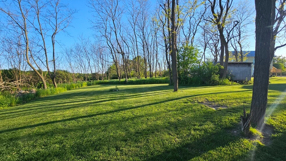 Rear of Backyard - 26592 Military Rd