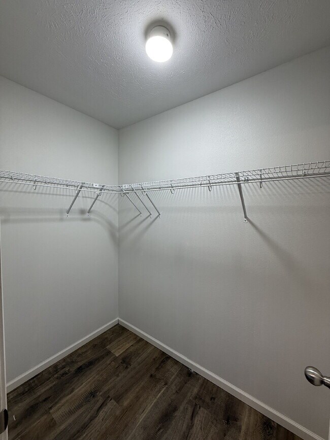 Building Photo - 4BR Basement Home