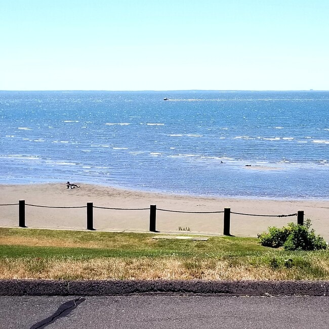 Building Photo - 185 Melba St