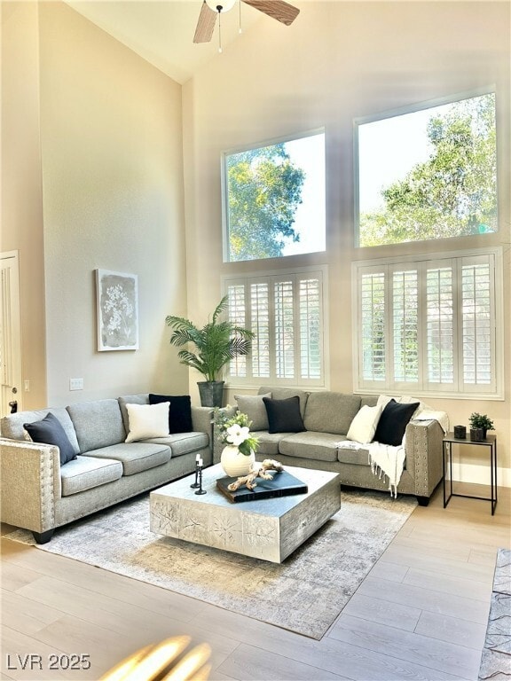 Building Photo - 858 La Sconsa Dr