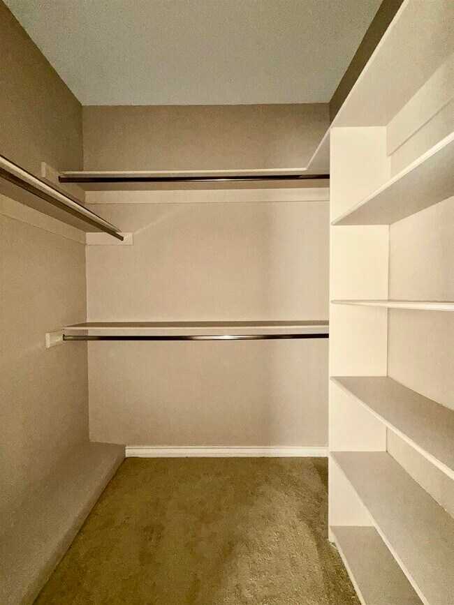 Building Photo - 9804 Cantera Ct