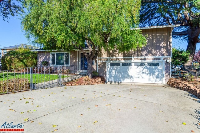 Primary Photo - Gorgeous Home | Remodeled | Desirable Location